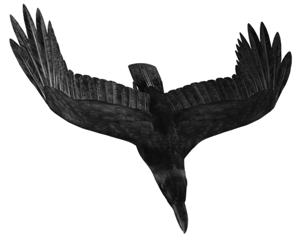 Crow 6 Superior-Stock